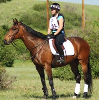 artemis artemis